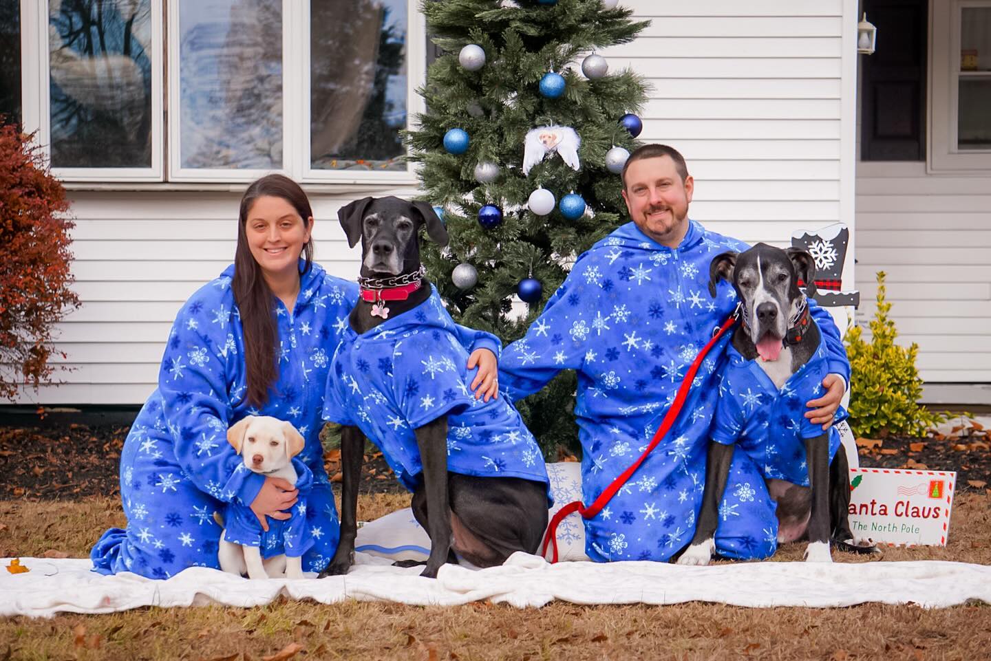 Devon's Dapper Dogs family photo
